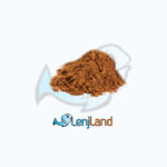 lenjland لنج لند