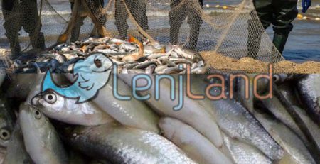 انواع صید ماهی در دریای خلیج فارس