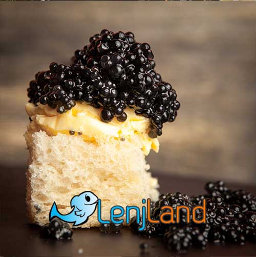 اشپل ماهی چیست؟ طرز تهیه و قیمت
