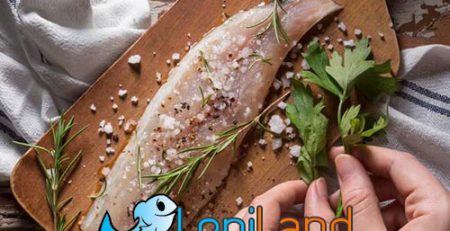 بهترین روش مزه‌دار کردن ماهی چیست؟