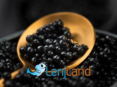 خاویار چیست؟ هر آنچه باید بدانید