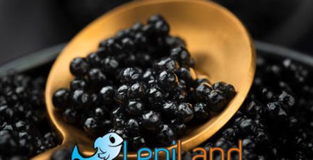 خاویار چیست؟ هر آنچه باید بدانید