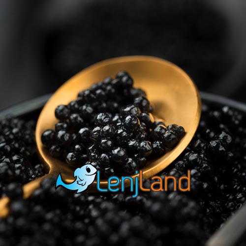 خاویار چیست؟ هر آنچه باید بدانید