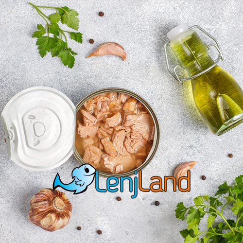 معرفی ۱۰ غذای خوشمزه با تن ماهی