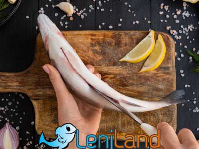 چرا ماهی اوزون برون حرام است؟