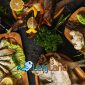 معرفی ۵ تا غذای خوشمزه خوزستان با ماهی