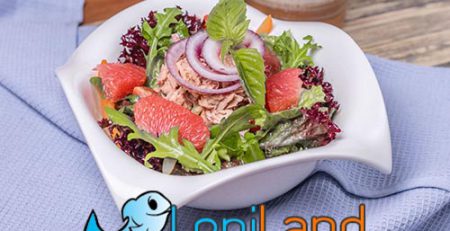 معرفی 10 غذای رژیمی با ماهی