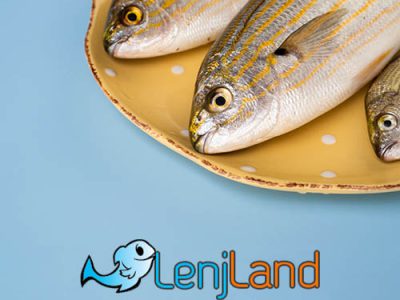 معرفی 5 ماهی با بیشترین تیغ