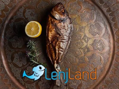 معرفی انواع ماهی شیر