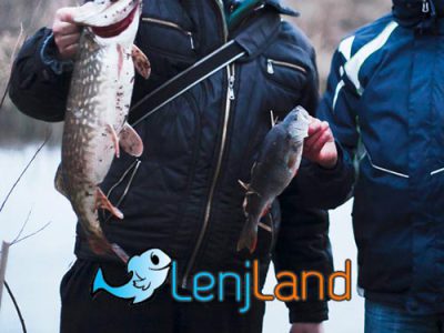 خواص و فواید ماهی برای مردان
