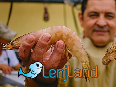 خواص و فواید میگو برای مردان