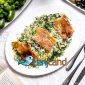 سبزی پلو با ماهی شمال بهتره یا با ماهی جنوب؟