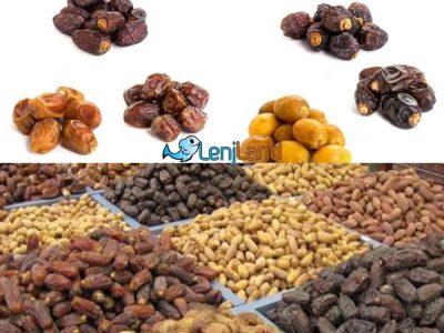 تفاوت انواع خرما، معرفی بهترین و گرانترین نوع خرما