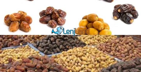 تفاوت انواع خرما، معرفی بهترین و گرانترین نوع خرما