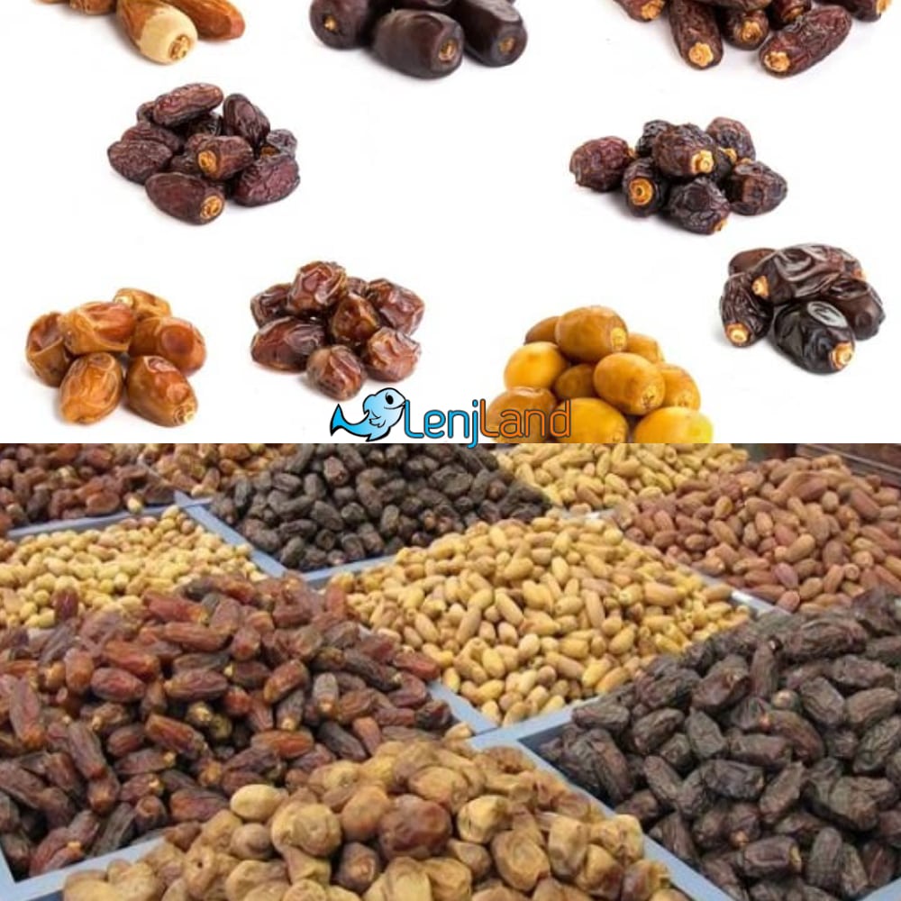 تفاوت انواع خرما، معرفی بهترین و گرانترین نوع خرما