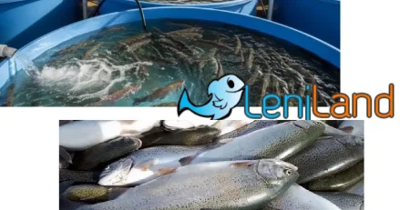 آموزش پرورش ماهی قزل آلا