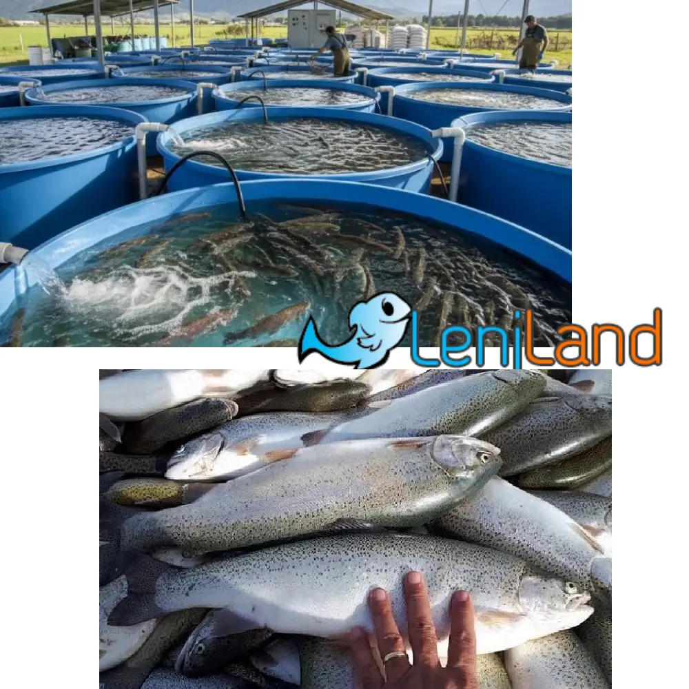 آموزش پرورش ماهی قزل آلا