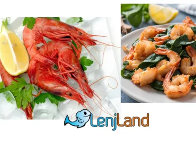 روش درست نگهداری میگو در فریزر، بهترین روش نگهداری