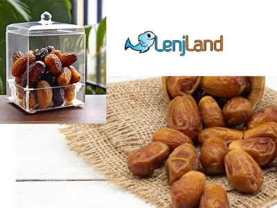 انواع روش‌های نگهداری از خرما برای طولانی مدت، بهترین روش