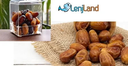 انواع روش‌های نگهداری از خرما برای طولانی مدت، بهترین روش