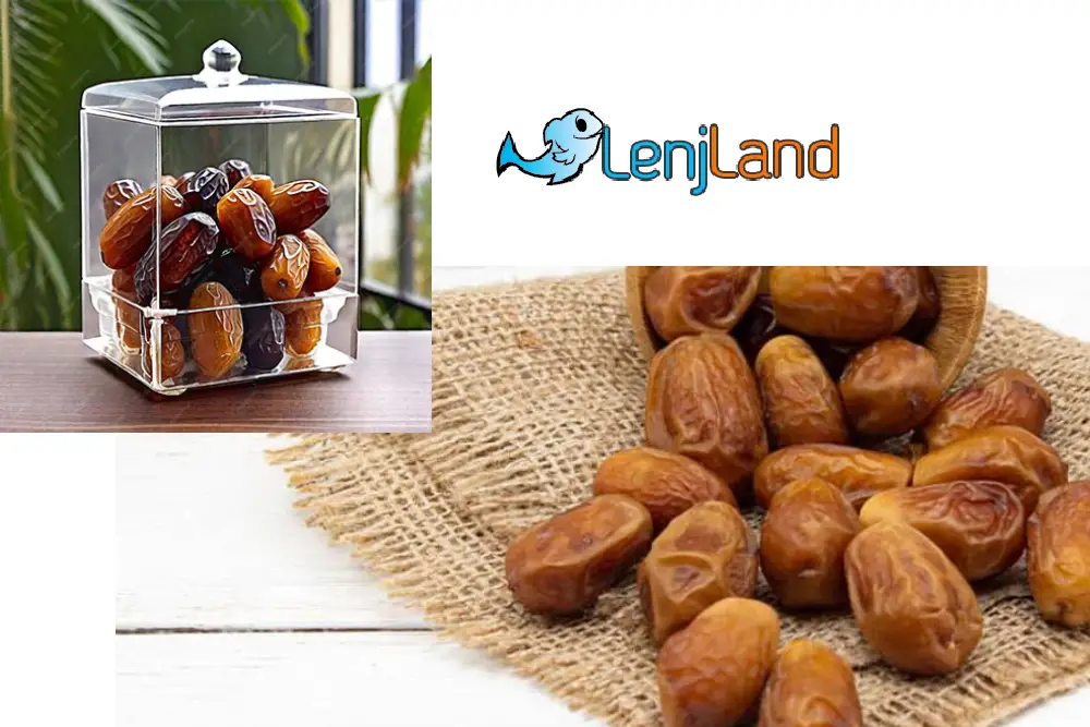 انواع روش‌های نگهداری از خرما برای طولانی مدت، بهترین روش