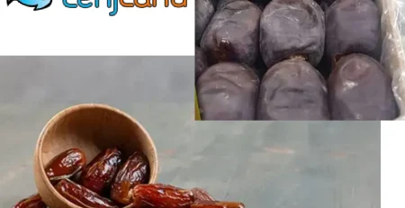 تفاوت خرمای مضافتی، پیارم و کبکاب
