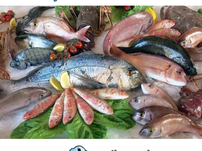 قیمت انواع ماهی، امروز + ۵ آذر ۱۴۰۴