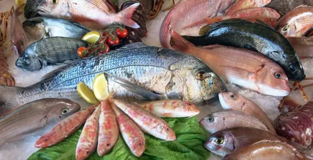 قیمت انواع ماهی، امروز + ۵ آذر ۱۴۰۴
