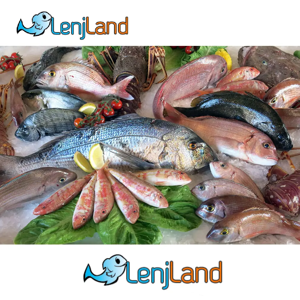 قیمت انواع ماهی، امروز + ۵ آذر ۱۴۰۴