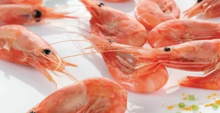 قیمت انواع میگو، امروز + 6 آذر ۱۴۰۴