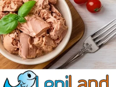 قیمت انواع تن ماهی، معرفی بهترین، مقایسه برندها